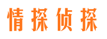 开江侦探公司